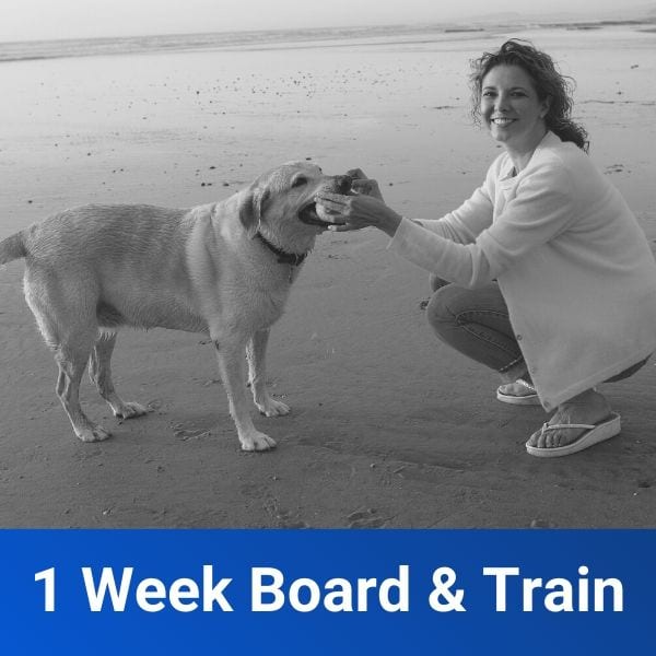 1 Week Board & Train